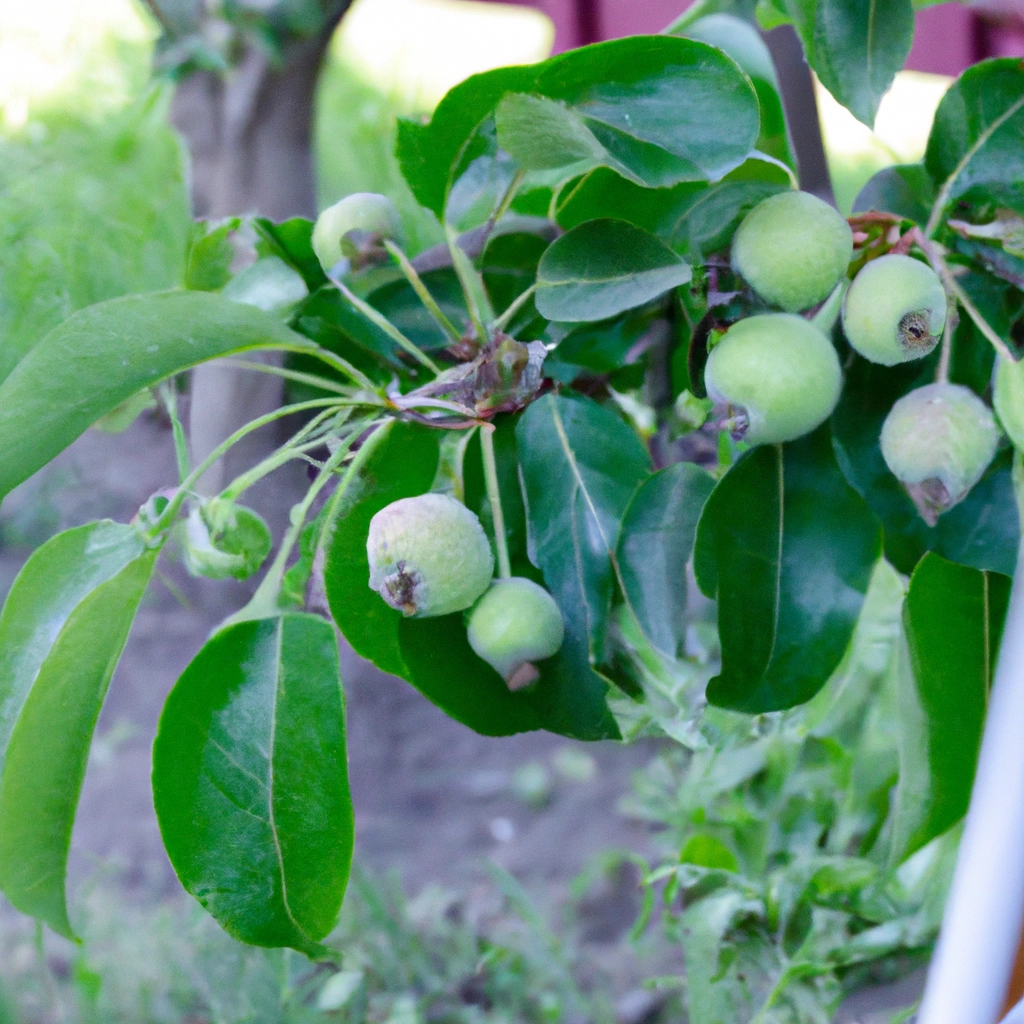 Featured Post Image - Плодовые деревья: как правильно удобрять и поливать